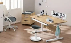 Best PAIDI Funktionsboard zum Schreibtisch Zubehör Schoolworld Weiß