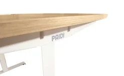 Kinder PAIDI Komplett-Kinderzimmer|Schreibtische^Schreibtisch e-lion